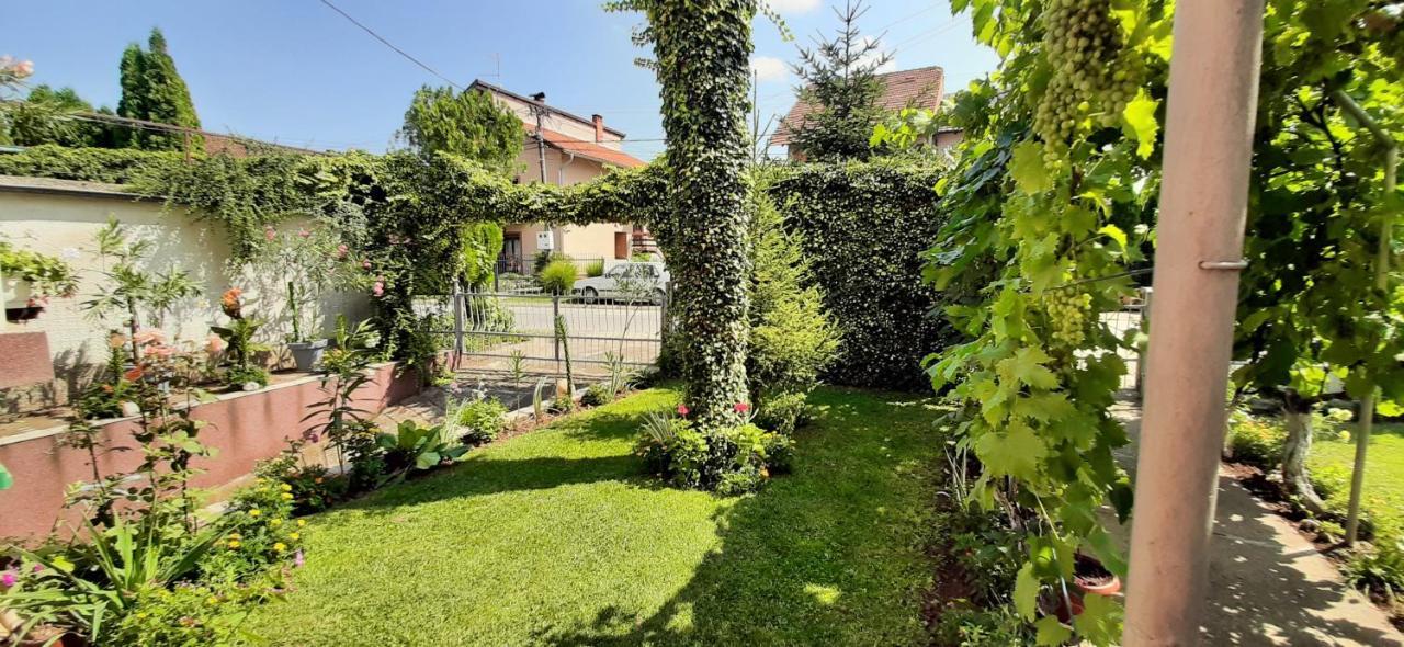 Exclusive Apartment Paracin Exterior photo